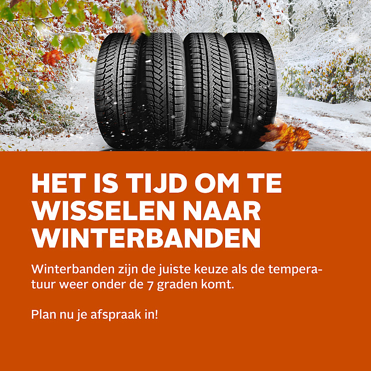 Carteam Smink